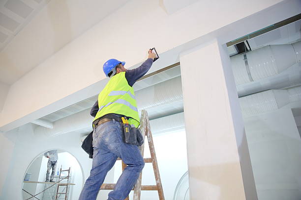 Best Ceiling Drywall Installation  in South Bloomfield, OH